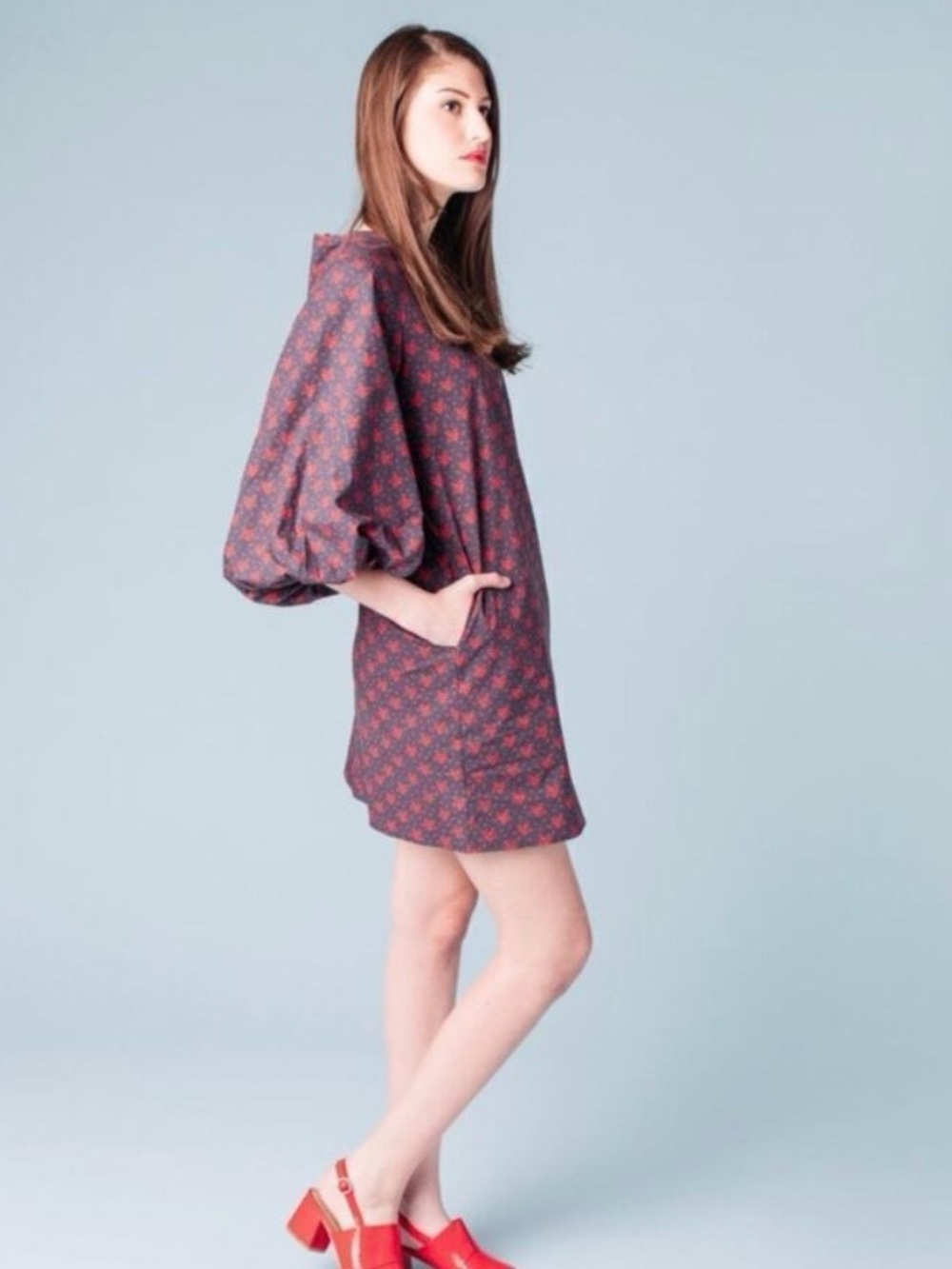 No. 6 Store balloon sleeve cotton dress size 2 (medium)